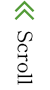 先頭へ戻る